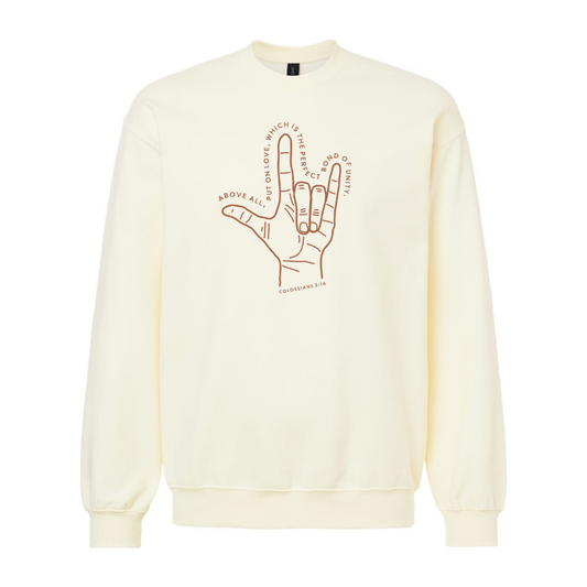 Colossians 3:14 Fundraiser Pullover